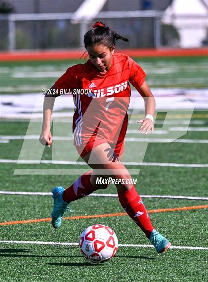 Thumbnail 2 in Fleetwood @ Wilson BCIAA Quarterfinal photogallery.