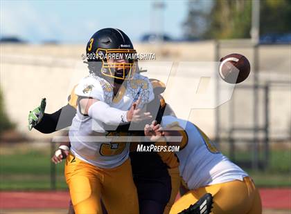 Thumbnail 2 in Alameda @ San Lorenzo photogallery.