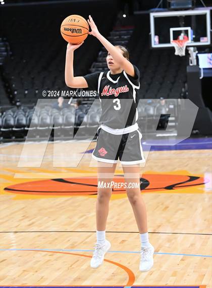Thumbnail 1 in Mingus vs. Moon Valley (Hoopin' It Up At The Arena) photogallery.