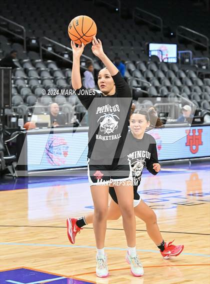 Thumbnail 1 in Mingus vs. Moon Valley (Hoopin' It Up At The Arena) photogallery.