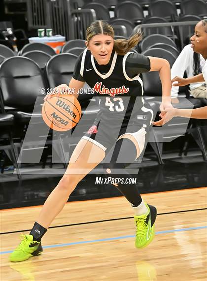 Thumbnail 1 in Mingus vs. Moon Valley (Hoopin' It Up At The Arena) photogallery.
