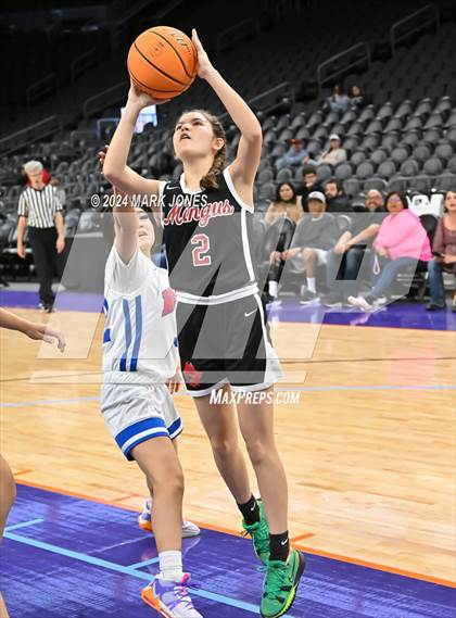 Thumbnail 2 in Mingus vs. Moon Valley (Hoopin' It Up At The Arena) photogallery.