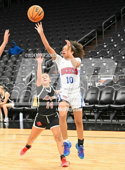 Thumbnail 1 in Mingus vs. Moon Valley (Hoopin' It Up At The Arena) photogallery.