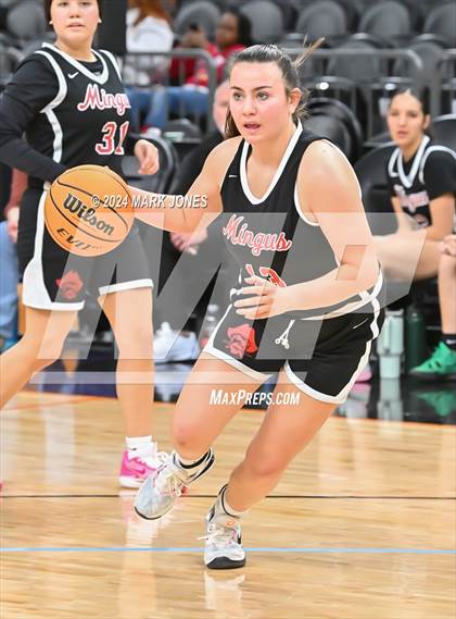 Thumbnail 3 in Mingus vs. Moon Valley (Hoopin' It Up At The Arena) photogallery.