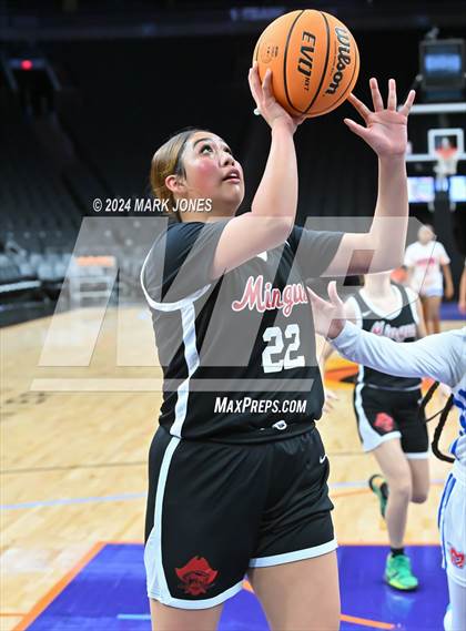 Thumbnail 2 in Mingus vs. Moon Valley (Hoopin' It Up At The Arena) photogallery.