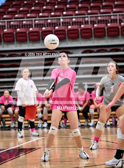 Thumbnail 2 in Pottsville @ Morrilton photogallery.