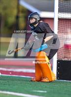 Photo from the gallery "Nichols @ Orchard Park"