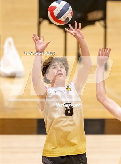 Thumbnail 2 in Whitney @ Del Oro photogallery.