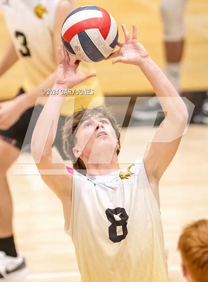 Thumbnail 1 in Whitney @ Del Oro photogallery.