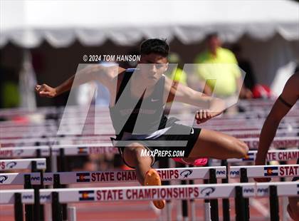 Thumbnail 1 in CHSAA Finals (Hurdles) photogallery.