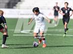 Photo from the gallery "Colorado Academy vs. Peak to Peak (CHSAA 3A State Championship)"