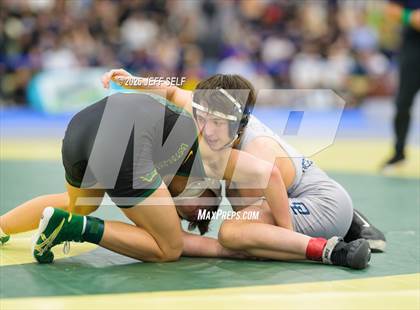 Thumbnail 1 in VHSL 5A Finals photogallery.