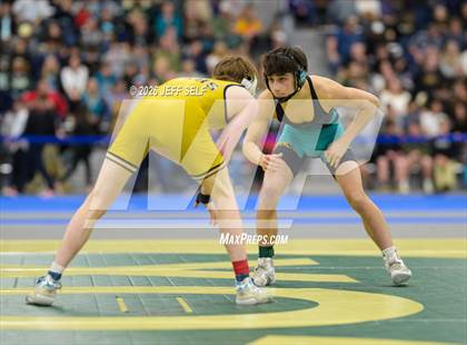 Thumbnail 1 in VHSL 5A Finals photogallery.