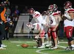 Photo from the gallery "Logan Elm vs New Lexington (OHSAA D4 Regional)"