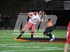 Photo from the gallery "Logan Elm vs New Lexington (OHSAA D4 Regional)"