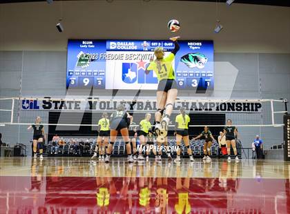 Thumbnail 2 in Blum vs. Neches (UIL 1A Volleyball Semi-Final) photogallery.