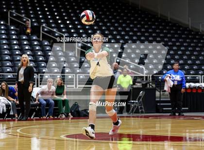 Thumbnail 2 in Blum vs. Neches (UIL 1A Volleyball Semi-Final) photogallery.