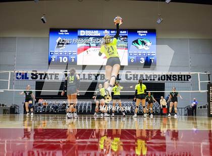 Thumbnail 3 in Blum vs. Neches (UIL 1A Volleyball Semi-Final) photogallery.