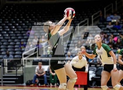 Thumbnail 1 in Blum vs. Neches (UIL 1A Volleyball Semi-Final) photogallery.