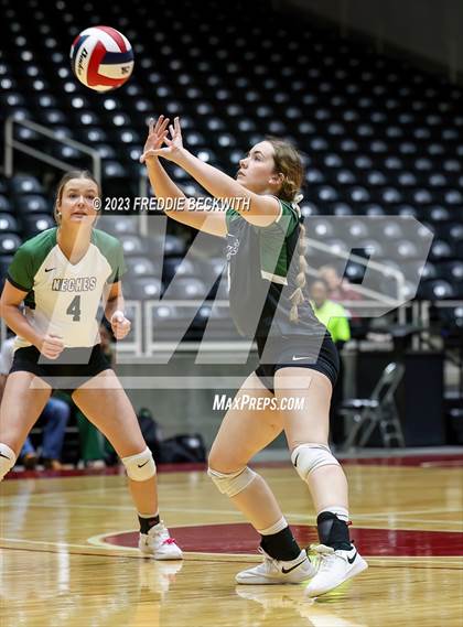 Thumbnail 3 in Blum vs. Neches (UIL 1A Volleyball Semi-Final) photogallery.