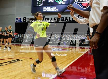 Thumbnail 1 in Blum vs. Neches (UIL 1A Volleyball Semi-Final) photogallery.