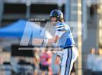 Photo from the gallery "Mustang @ Deer Creek"