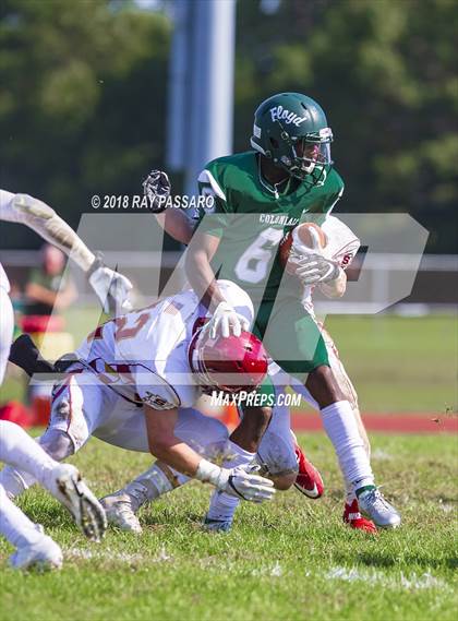 Thumbnail 1 in Sachem East @ William Floyd photogallery.