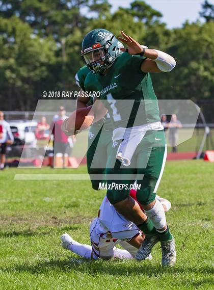 Thumbnail 3 in Sachem East @ William Floyd photogallery.