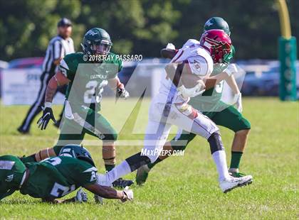 Thumbnail 2 in Sachem East @ William Floyd photogallery.