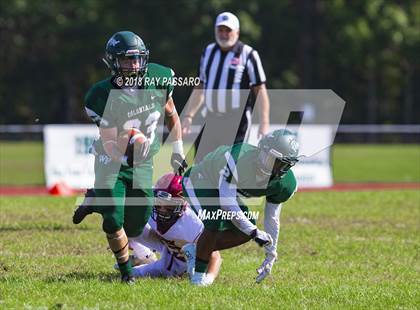 Thumbnail 1 in Sachem East @ William Floyd photogallery.