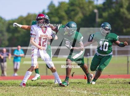 Thumbnail 3 in Sachem East @ William Floyd photogallery.