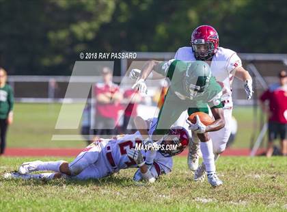 Thumbnail 3 in Sachem East @ William Floyd photogallery.