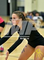 Photo from the gallery "Monterey Trail @ River City"