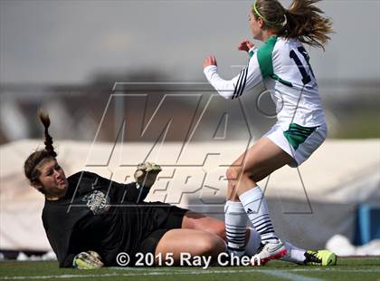 Thumbnail 2 in Chatfield @ ThunderRidge photogallery.