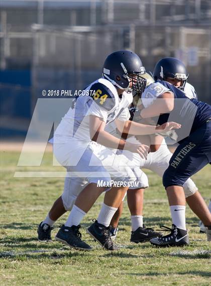 Thumbnail 1 in Wilson vs Franklin photogallery.