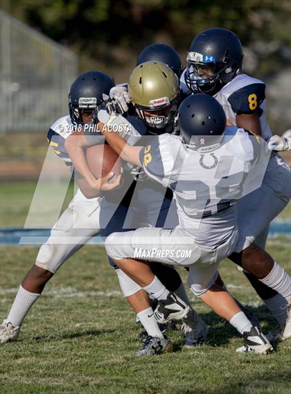 Thumbnail 1 in Wilson vs Franklin photogallery.