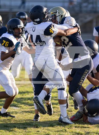 Thumbnail 2 in Wilson vs Franklin photogallery.