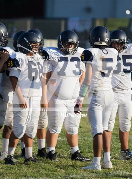 Thumbnail 1 in Wilson vs Franklin photogallery.