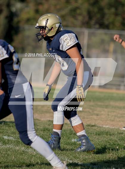 Thumbnail 1 in Wilson vs Franklin photogallery.
