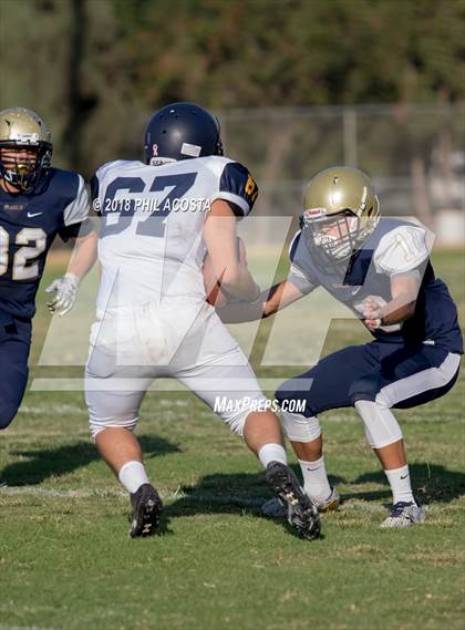 Thumbnail 2 in Wilson vs Franklin photogallery.