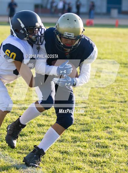 Thumbnail 1 in Wilson vs Franklin photogallery.