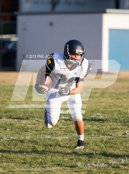 Thumbnail 1 in Wilson vs Franklin photogallery.