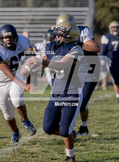 Thumbnail 1 in Wilson vs Franklin photogallery.