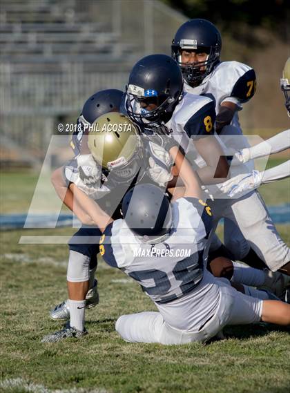 Thumbnail 1 in Wilson vs Franklin photogallery.