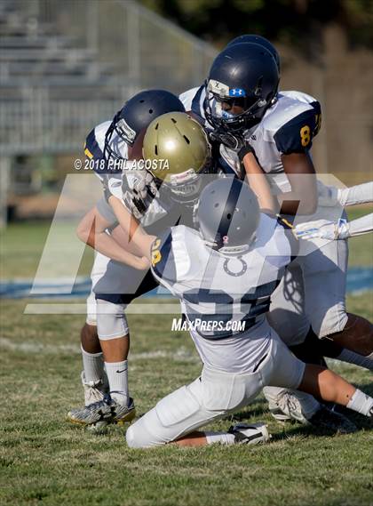 Thumbnail 3 in Wilson vs Franklin photogallery.