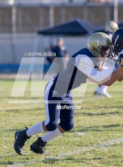 Thumbnail 1 in Wilson vs Franklin photogallery.
