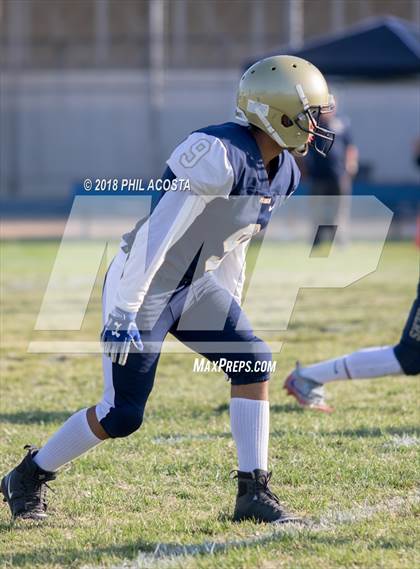 Thumbnail 1 in Wilson vs Franklin photogallery.