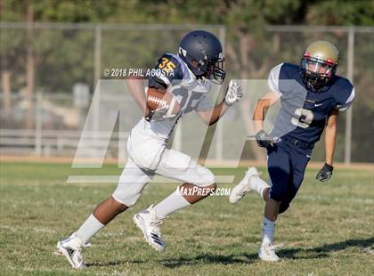 Thumbnail 1 in Wilson vs Franklin photogallery.