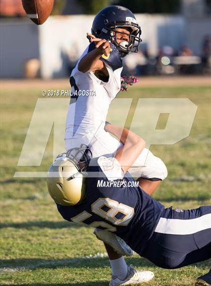 Thumbnail 1 in Wilson vs Franklin photogallery.