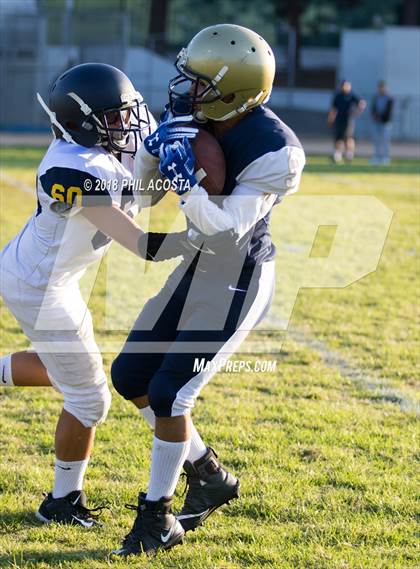 Thumbnail 1 in Wilson vs Franklin photogallery.